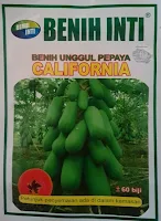 jual benih, pepaya california, benih inti, benih unggul, harga murah, tanaman pepaya, toko pertanian, toko online, lmga agro