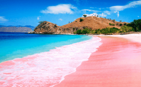 5 Pantai Pink Yang Indah Di Indonesia Yang Wajib Diketahui