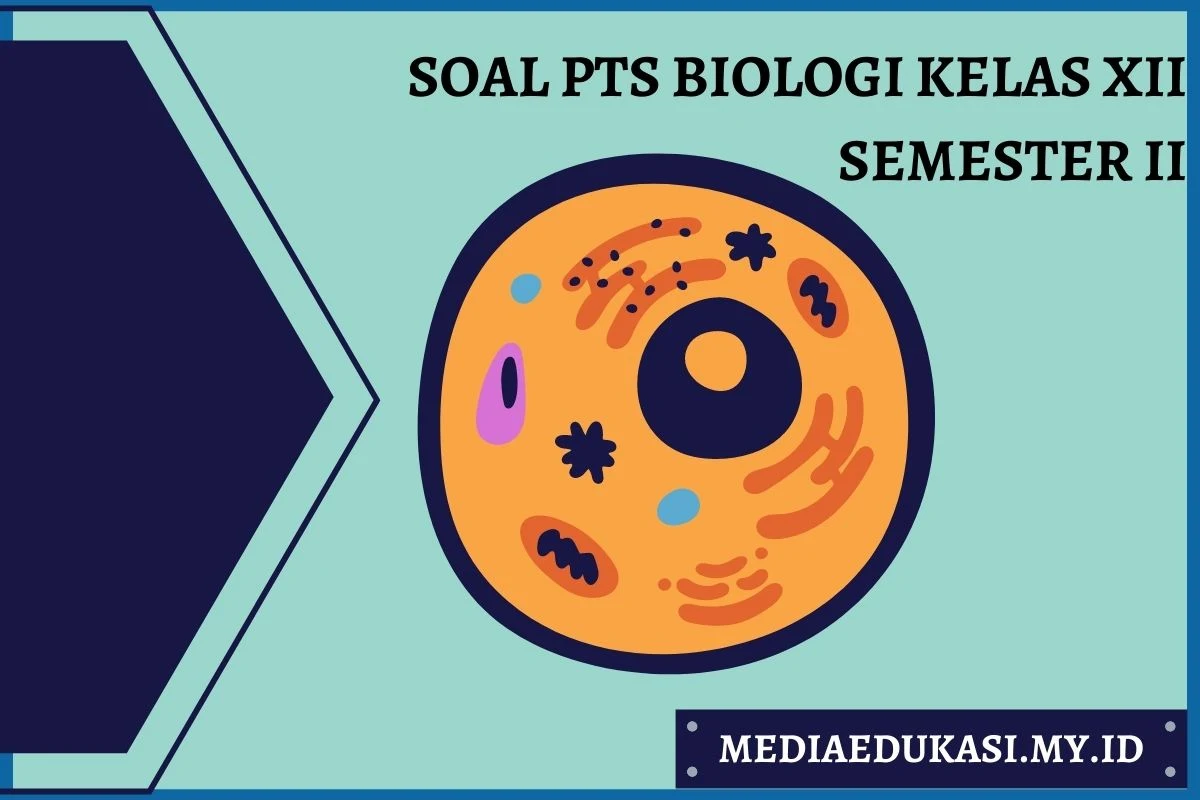 Soal PTS Biologi Kelas 12 Semester 2 dan Kunci Jawaban