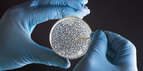 Un nuovo composto potrebbe sconfiggere i batteri multiresistenti comuni negli ospedali