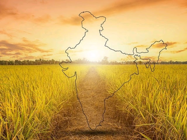 सर्वाधिक फसलों वाले भारत के शीर्ष 10 प्रमुख कृषि राज्य Top 10 Major Agricultural States of India with Most Crops
