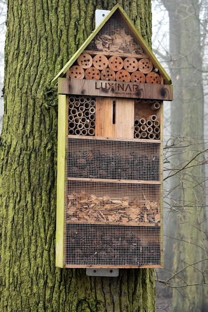 Insect Hotel In Woods