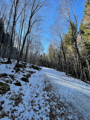 Giro delle Malghe di Caltrano Asiago