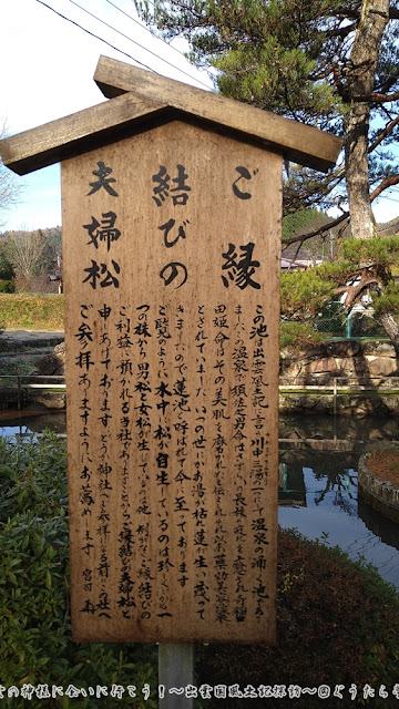 須我神社　ご縁結びの夫婦松　説明