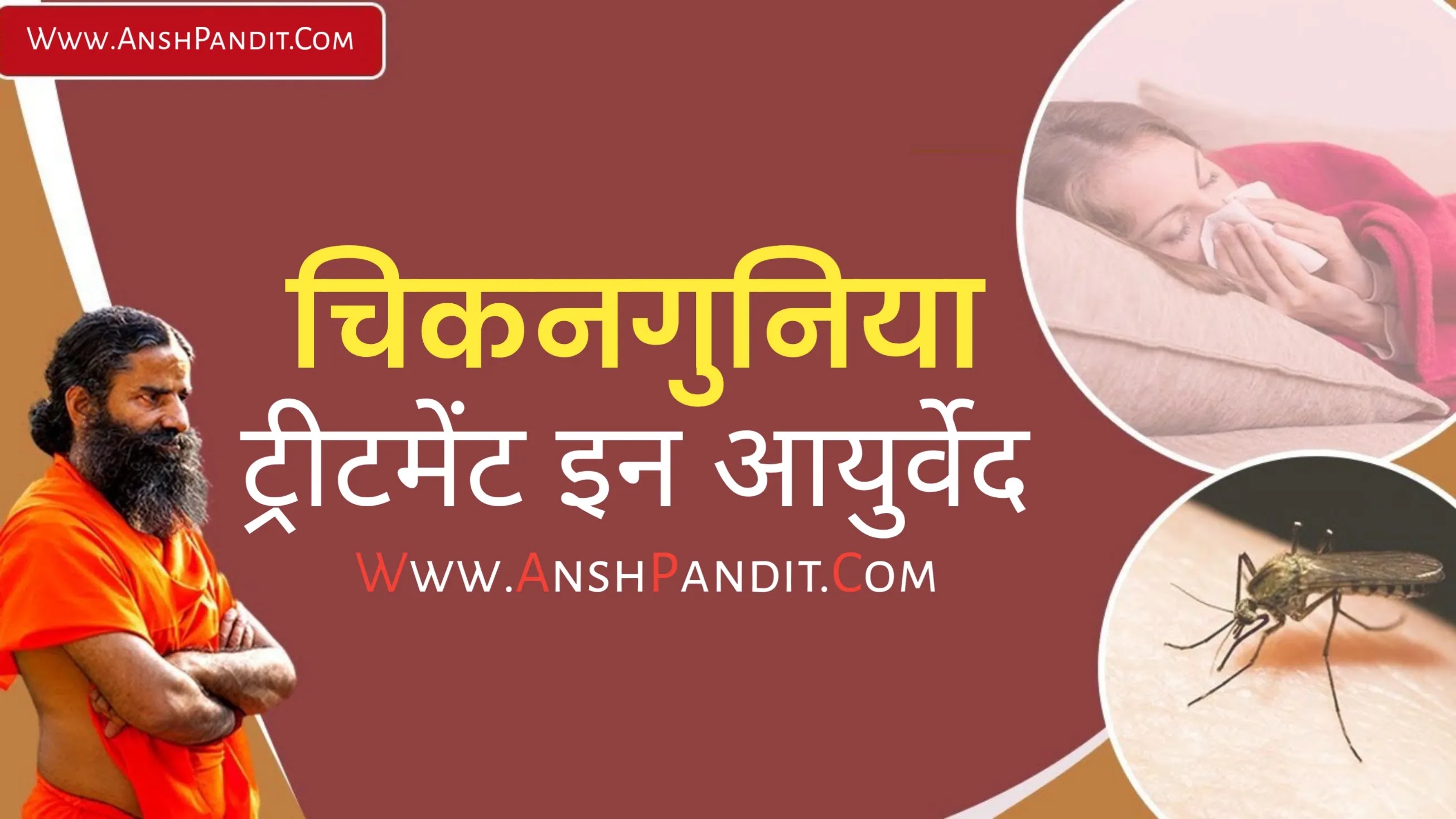 Chikungunya Treatment in Ayurveda in Marathi