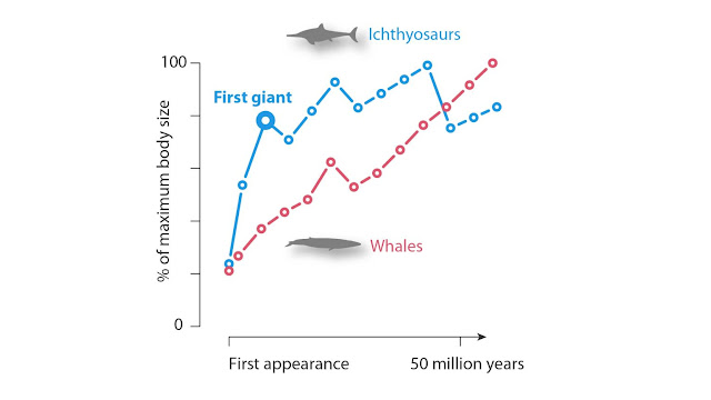Οι θαλάσσιοι «δράκοι» υπήρχαν: Ανακαλύφθηκε το κρανίο του πρώτου γιγάντιου ζώου της Γης