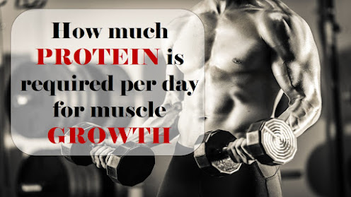 how much protein is required per day for muscle growth : Muscle growth
