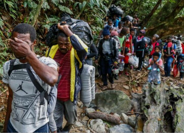 Muere joven venezolano tras picadura de serpiente en el Darién, selva que separa a Colombia y a Panamá