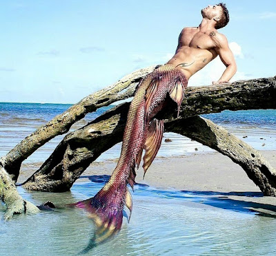 Photograph of a handsome merman with reddish tale seated a log at the beach basking in the sun