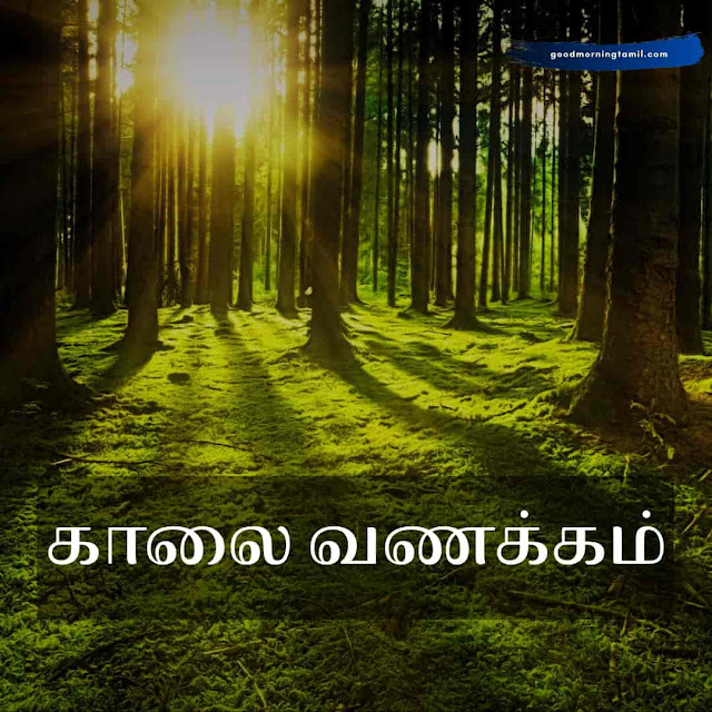 இனிய காலை வணக்கம் தத்துவம்  good morning tamil quotes