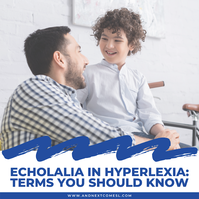Echolalia in hyperlexia: terms you should know
