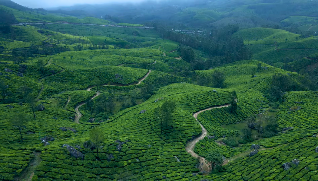 Munnar