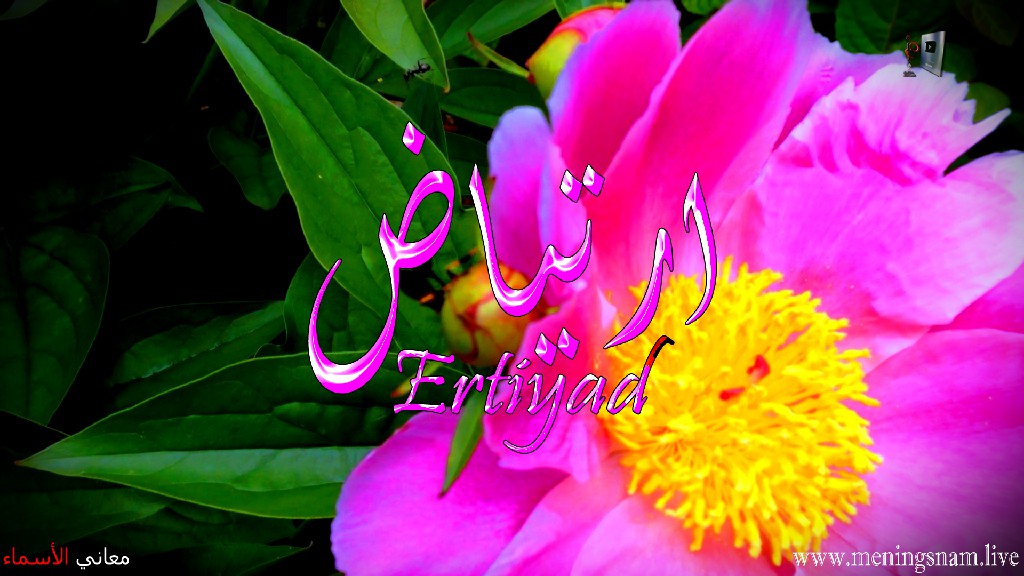 معنى اسم, ارتياض, وصفات, حامل, وحاملة, هذا الاسم, Ertiyad,