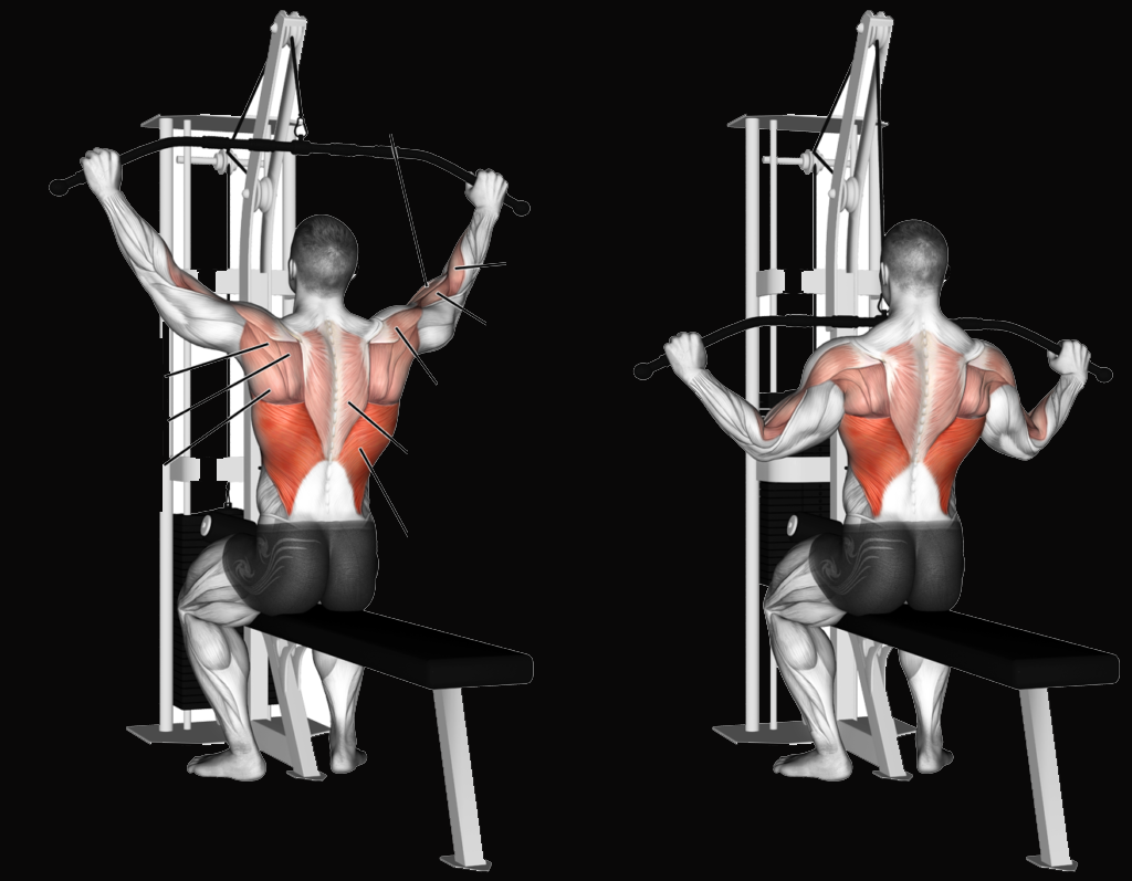 TOP 6 BACK EXERCISES