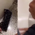 NA 'CARA DURA': Vídeo flagra suposto furto em banheiro feminino de shopping; assista