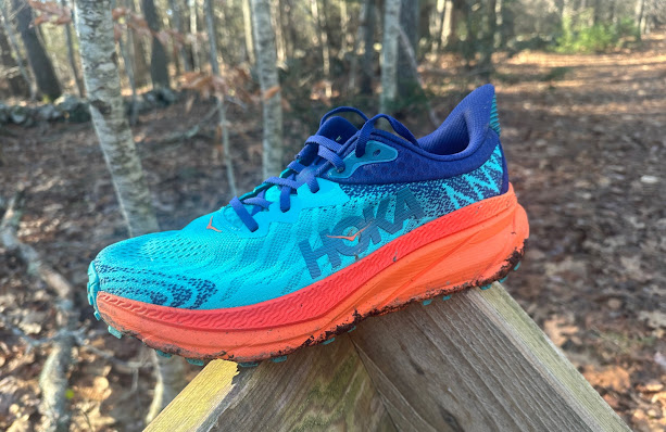 Road Trail Run: Sanuk Donna Aerokush Review: Sidewalk Surfers!