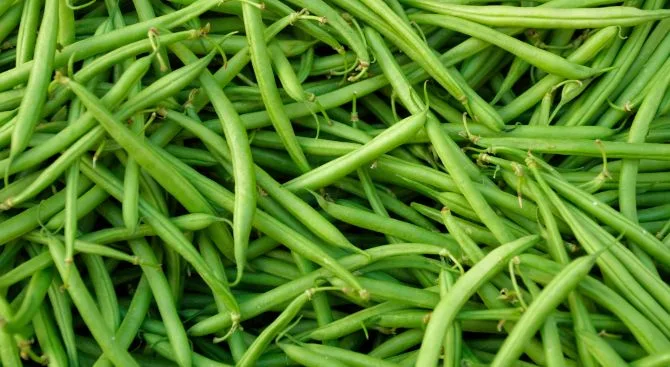 Green Beans Health Benefits