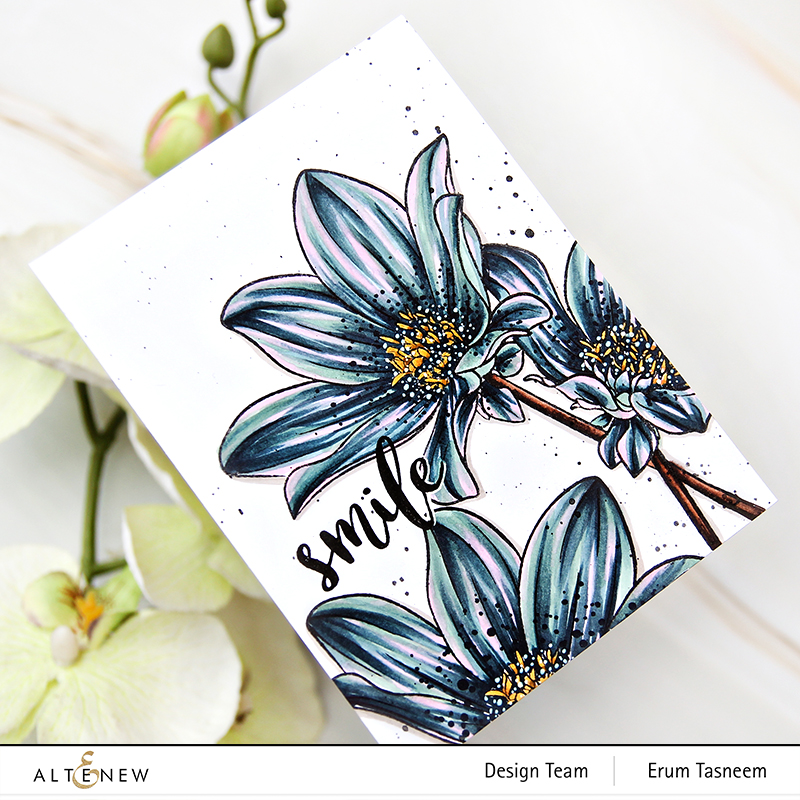 Altenew Paint-A-Flower: Dahlia Bright Eyes Outline Stamp Set | Erum Tasneem | @pr0digy0