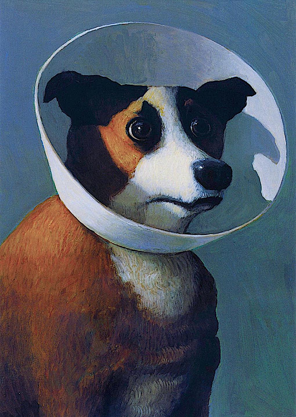 Michael Sowa dog in a neck cone