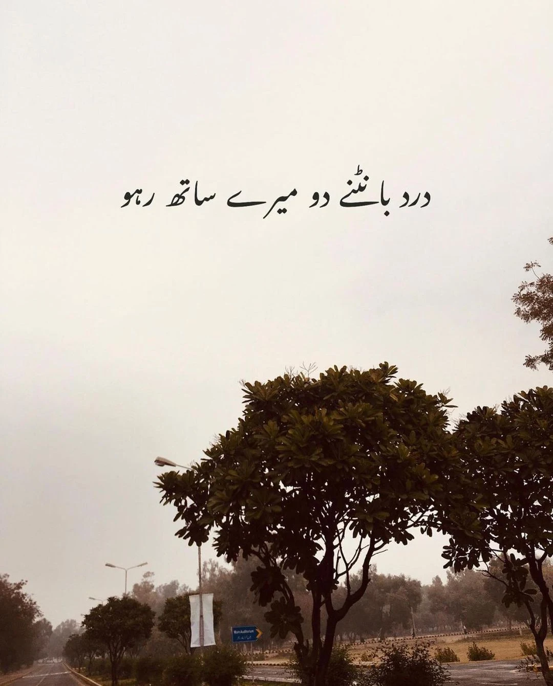 Sad Urdu Text Status and DP for WhatsApp