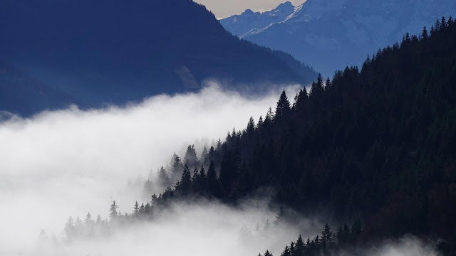 Download mountains, trees, forest, fog, landscape, nature wallpaper.
