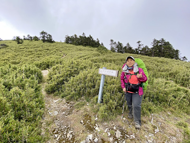 匹匹達營地