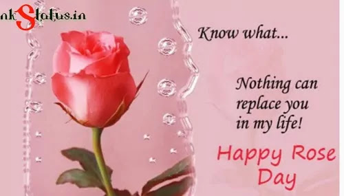 Lovely Rose Day Shayari