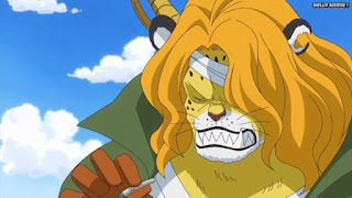 ワンピースアニメ 778話 ペトロ | ONE PIECE Episode 778