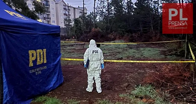 🚨 Investigan homicidio durante fiesta en Puerto Montt