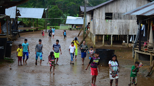 Indígenas de Bojayá piden atención médica ante muerte de cuatro menores por extraño virus