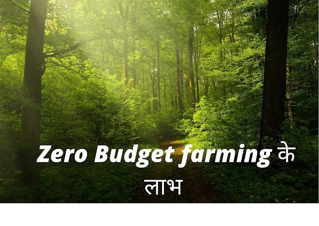 zero budget farming in hindi