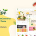 Ecolive - Organic Food WooCommerce WordPress Theme Review