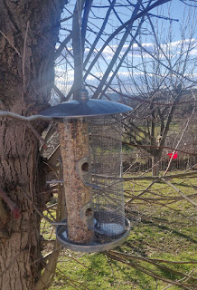 Awesome bird feeder