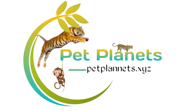 Pet Planet