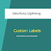 How to use custom labels in the salesforce lightning screen flow