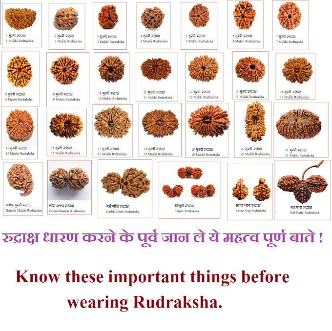 Know these important things before wearing Rudraksha : रुद्राक्ष धारण करने के पूर्व जान ले ये महत्व पूर्ण बाते !