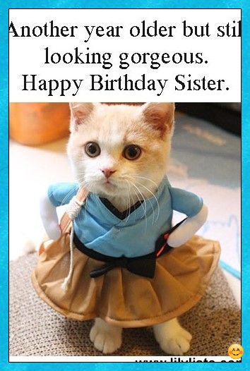 happy birthday sister funny images