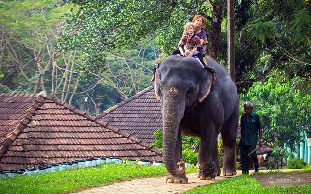 konni elephant training camp view