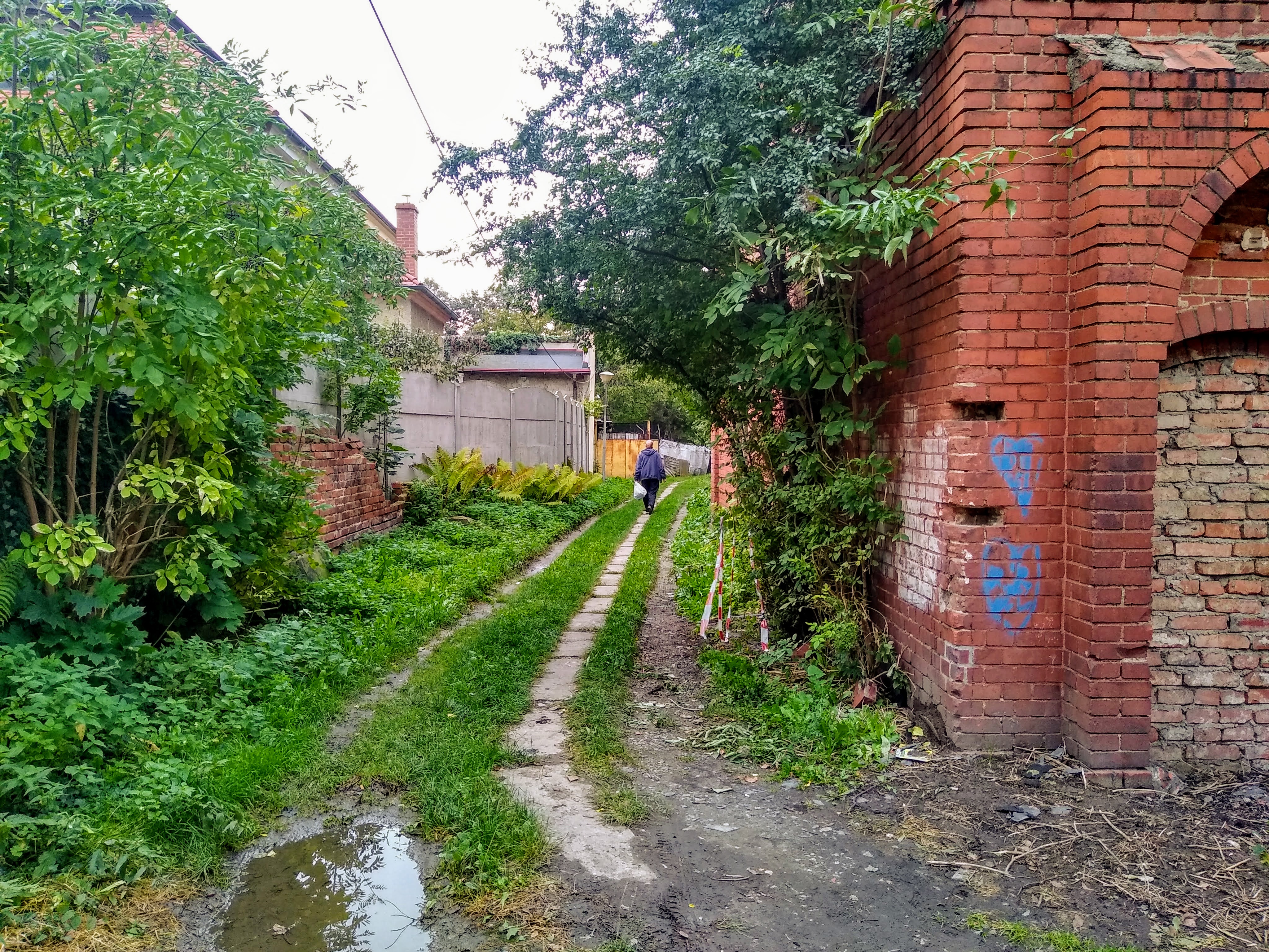 Dźwięk tygodnia: Diakonisy z Frankenstein,  Ząbkowice Śląskie - kościół ewangelicki, fot. mikrosytuacje.pl