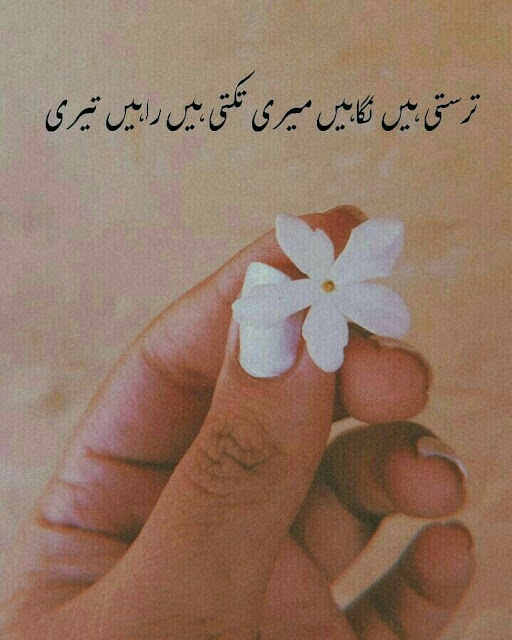 One line poetry Quotes In Urdu, One line Quotes In Urdu text, Deep one Line Quotes In Urdu, Urdu one line Quotes about life, Golden Words In Urdu one line, One line Love Poetry In Urdu, 1 line poetry In Urdu text,One Line Poetry in Urdu Attitude, One line poetry Love, One line poetry caption.