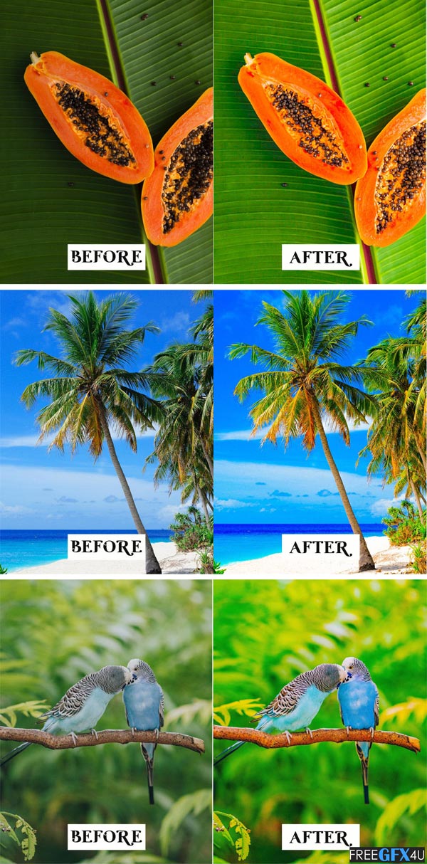15 Tropical Lightroom Presets