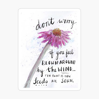 Sticker showing a watercolour echinacea and the hand-drawn words Don't worry if you feel blown by the wind, for that's how seeds are sown.