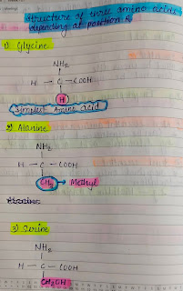 Structure of three amino acids depending at position R...