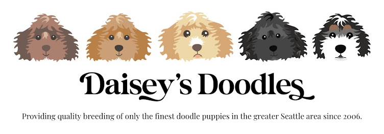 Daisey's Doodles LLC