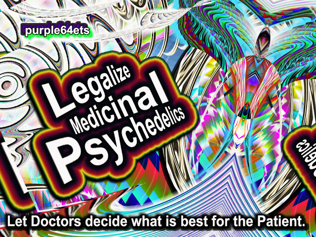 Legalize Medicinal Psychedelics meme by gvan42