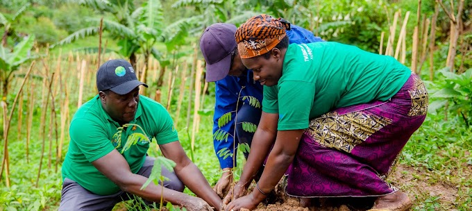 Green Climate Fund aprova investimentos de 39,1 milhões em restauração florestal em Ruanda