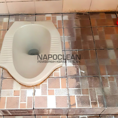 Napoclean Pembersih Lantai Porselen