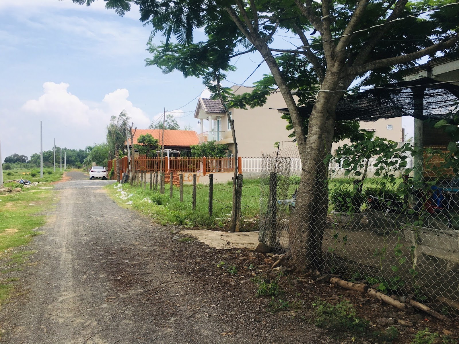 ảnh thực tế 512m2 đất tại Gò Cà tại xã Phước Thuận