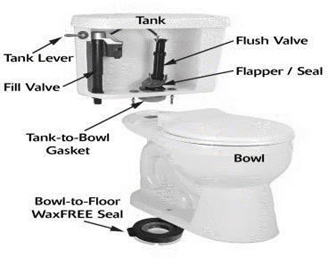 How Your Toilet Works