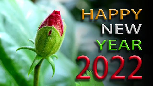 Happy New Year Wishes 2022, Messages, Greetings - Pinterest, Twitter, greeting, wishes,